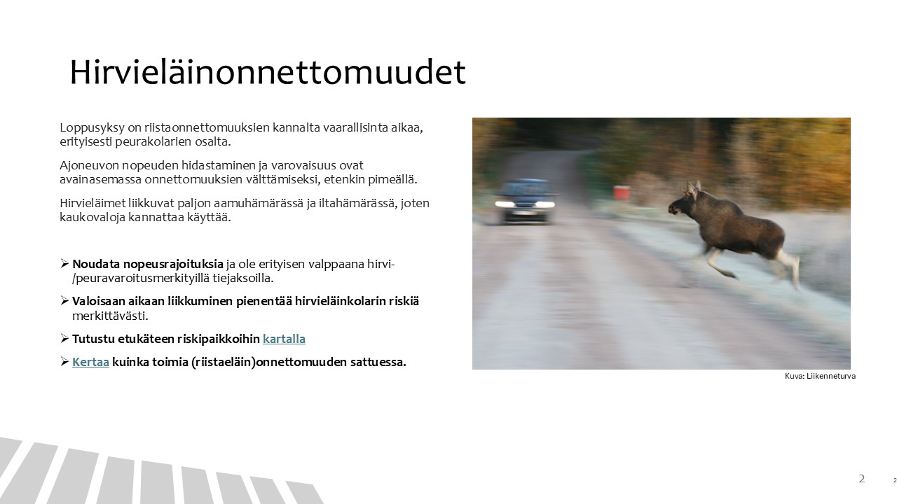 Hirvieläinonettomuudet