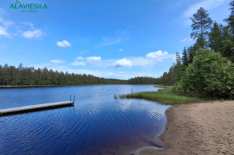 Petäjälampi