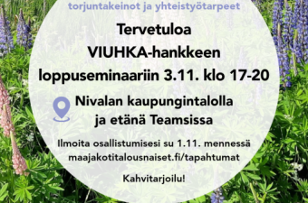VIUHKA-hankkeen loppuseminaari
