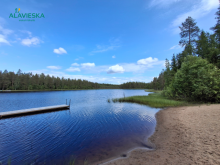 Petäjälampi